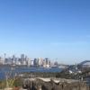 The Sydney harbor is built in a way that integrates human life and the environment