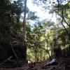 The hike to the waterfall is about a mile and a half, which was a bit rough for me, but the beautiful greenery (and even the occasional baboon) along the way made it worth it