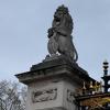 Lion Statue on Buckingham Palace 