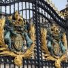 Gates of Buckingham Palace