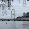 London Eye River View