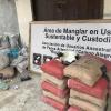 "Mangrove area in sustainable and custodial use/ Association of ancestral and artisanal fisher users". Communities on Isla Puna are trying to protect the mangroves by coming together to form associations. 