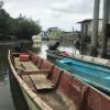 Local people depend on this mangrove forest for food and other resources, but the forests are threatened by shrimp farms and illegal activity.  