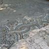 Workers uncovered this mosaic floor from an old Roman villa when they were digging for a different project