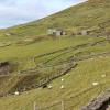 Notice that fields are partially fenced off using rock walls - I was told the rocks had been taken out of the fields