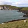 Sheep enjoying a seafront view and breathing in the ocean air - it's a "sheepside" seaside ;)