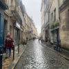 A beautiful street in Bordeaux 