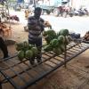 A quick break for coconut water before heading home. Cut off the top, put in a straw and drink!