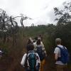 Our group walked up the hill to a viewpoint since the road was closed