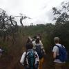 Our group walked up the hill to a viewpoint since the road was closed