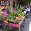 Street vendors are common here in Pondicherry, and I thought this cart had beautiful plants. I asked the owner if I could take a photo of him, and he agreed! 