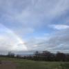 Can you see a pot of gold?