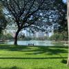 Lumpini Park is the biggest park in Bangkok
