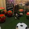 Animal cafes are another popular market attraction, and here I am feeding the animals!