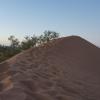  I climbed up this sand dune