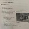 Last semester, I took a Maya language class at the UQROO! It was really difficult, but it is so cool to see indigenous languages taught in schools