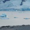 Penguins, icebergs and kayaks!