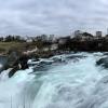 The Rhine Falls is the strongest waterfall in all of Europe!