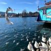 Lake Zurich, Switzerland