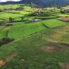 Do you see any "vacas felizes" (happy cows)?