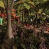 Beautiful gardens on the island of Madeira