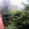 A bridge in the clouds!
