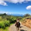 The weather was perfect for this trail ride!