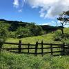 A picture perfect view of horseback riding at Monte Verde