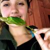 This giant leaf hopper uses camouflage to look like leaves in order to hide from predators