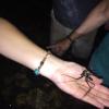 Here is one of the many creatures that live inside of the caves, alongside bats, tarantulas and more! 