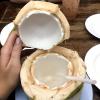 Have you ever eaten a coconut in this way? 