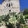 The ruins of Lifta had cacti growing around the buildings