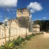 Around these ancient ruins, you will also see native plants