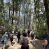 I went on a music walk in the woods in Bariloche on Sunday, led by Mapuche singer Anahí Rayen Mariluan