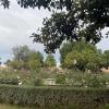 A lemon tree in a garden in Rome