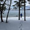 The island sits in the middle of the fjord, Eforden, and is surrounded by mountains and forests