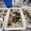 Below deck, the students and I began to sort through and identify our bounty