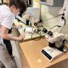 Fourth and seventh graders collaborated together to make meaningful scientific contributions to pressing environmental issues