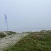 In three months, Sandestranden will be cleaned again. Only tremendous changes can prevent this