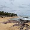 My last stop was Cape Coast--a city in Ghana that is near the Atlantic Ocean, so it also has a beach