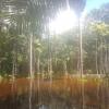 The water is clean when you're in there, especially in the shallow parts, but looks darker from afar