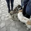 Making new friends everywhere we walk