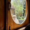 A cat which watched us as we ate lunch in a small town in Armenia