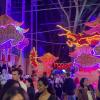 At night during the Lunar New Year festivities, Chinatown was glowing with beautiful signs and the sounds of the Dragon Parades 