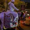 Everything in Indian weddings is colorful and sparkly, including the clothes on the horse, which the groom rides while trying to dance!