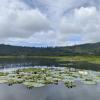 La laguna de Villa Rica, un pueblo conocido por esto, sus cataratas, y su café