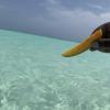 Eating fruit in the Indian Ocean (Zanzibar has the best mangos and pineapples!)
