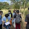 For their first mission, students are sent on a scavenger hunt to find fake crabs that have been hidden around the park and which have a fun fact about the wetland park and local wildlife written on their backs