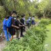 Algae is in full bloom, and students get to test out metal water skimmers to remove it and let some sunlight into the water!