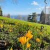 I went to the Flower Island of Mainau, which is a world-famous garden